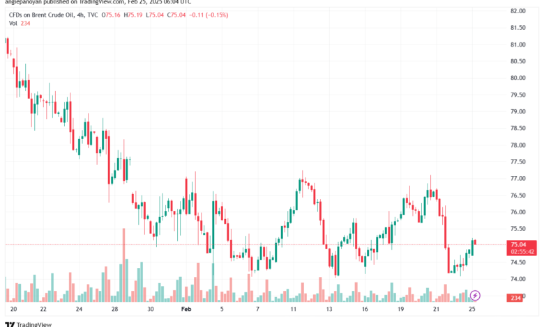 تحليل خام 25-2-2025 BRENT OIL