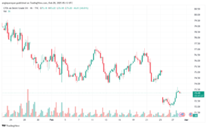 تحليل خام 28-2-2025 BRENT OIL