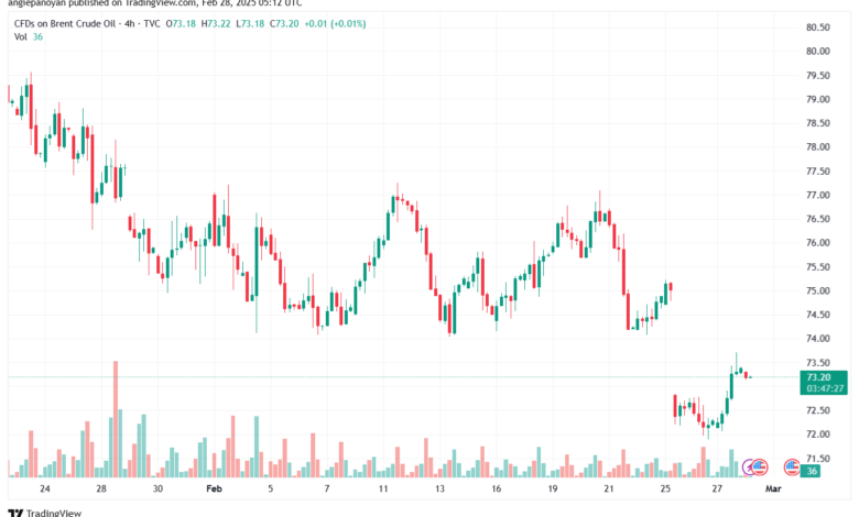 تحليل خام 28-2-2025 BRENT OIL