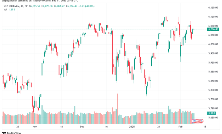 تحليل ستاندرد آند بورز 11-2-2025 S&P 500