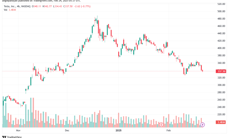 تحليل سهم تسلا الفني TSLA-24-2-2025