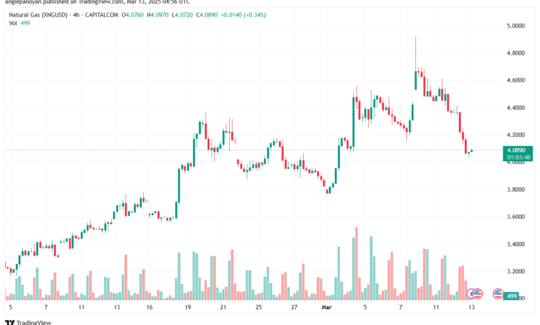 تحليل الغاز الطبيعي NATURAL GAS 13-2-2025