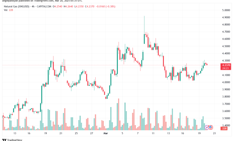 تحليل الغاز الطبيعي NATURAL GAS 20-3-2025