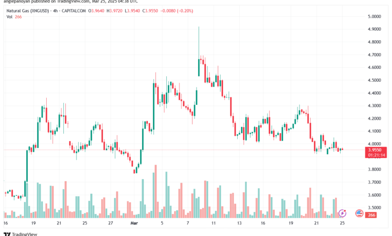 تحليل الغاز الطبيعي NATURAL GAS 25-3-2025