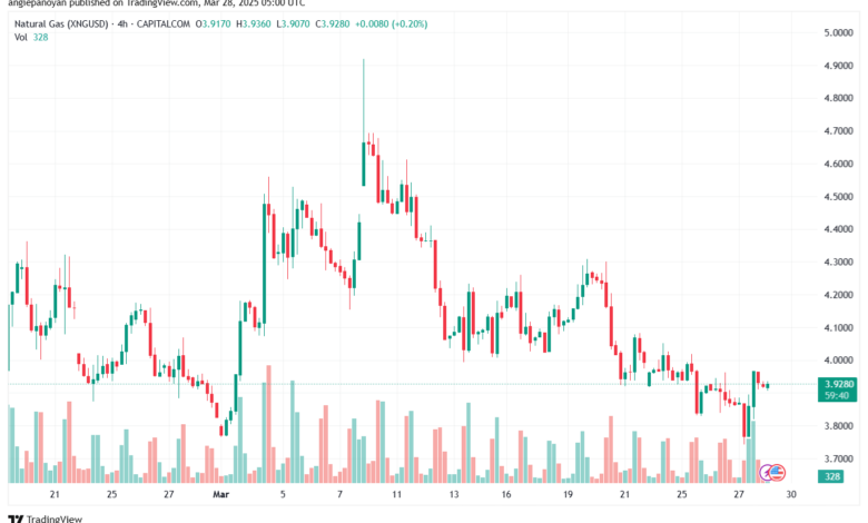 تحليل الغاز الطبيعي NATURAL GAS 28-3-2025
