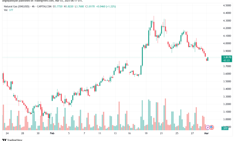 تحليل الغاز الطبيعي NATURAL GAS 3-2-2025