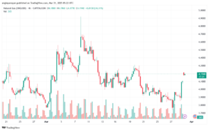 تحليل الغاز الطبيعي NATURAL GAS 31-3-2025