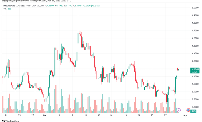 تحليل الغاز الطبيعي NATURAL GAS 31-3-2025