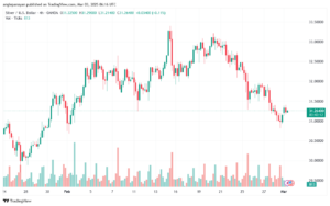 تحليل الفضة 3-3-2025 SILVER XAGUSD