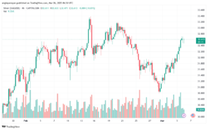 تحليل الفضة 6-3-2025 SILVER XAGUSD