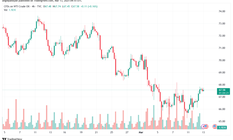 تحليل النفط CRUDE OIL -13-3-2025