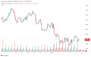 تحليل النفط CRUDE OIL -14-3-2025
