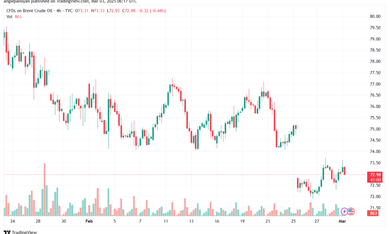 تحليل خام 3-3-2025 BRENT OIL