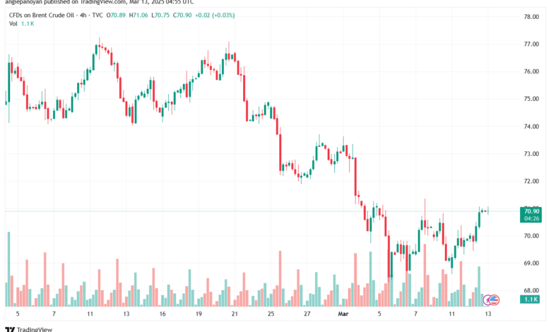 تحليل خام برنت 13-3-2025 BRENT OIL