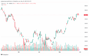 تحليل سهم تسلا الفني TSLA-30-5-2025