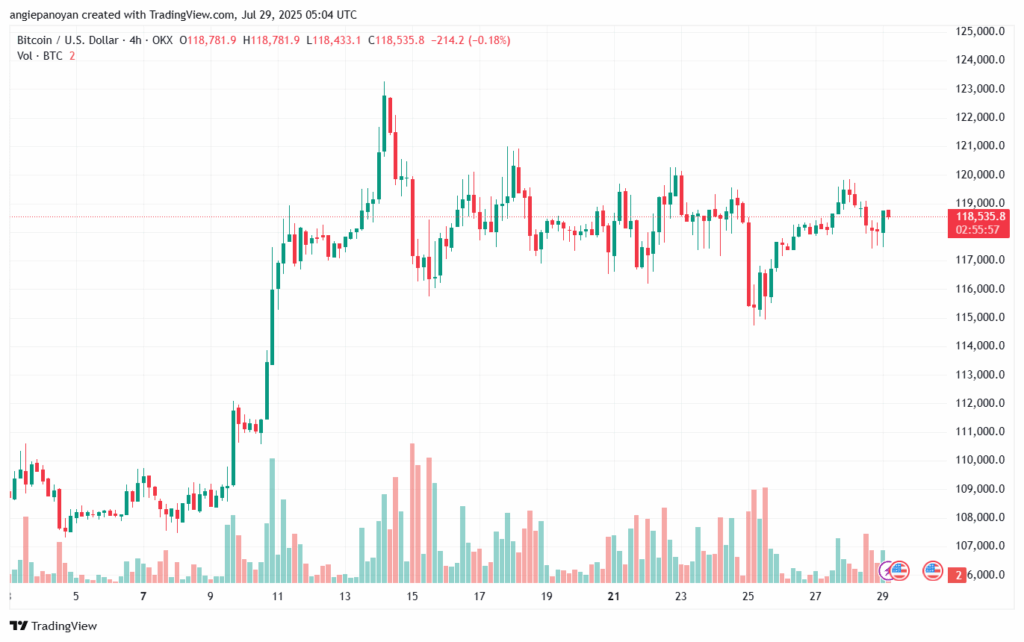 تحليل البتكوين دولار BTCUSD-29-7-2025