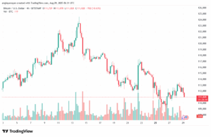 تحليل البتكوين دولار BTCUSD-29-8-2025