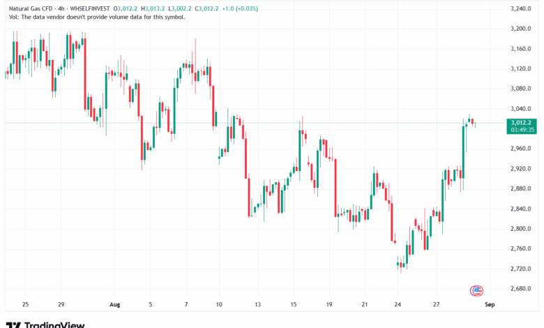 تحليل الغاز الطبيعي NATURAL GAS 29-8-2025
