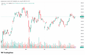 تحليل سهم تسلا الفني TSLA 19-8-2025