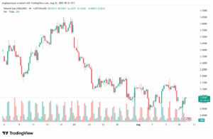 تحليل الغاز الطبيعي NATURAL GAS 12-8-2025