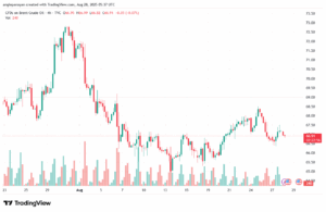 تحليل خام برنت 28-8-2025 BRENT OIL