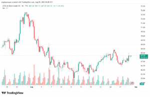 تحليل خام برنت 29-8-2025 BRENT OIL