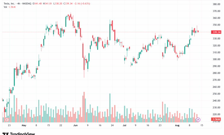 تحليل سهم تسلا الفني TSLA 14-8-2025
