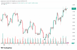 تحليل الغاز الطبيعي NATURAL GAS 05-9-2025