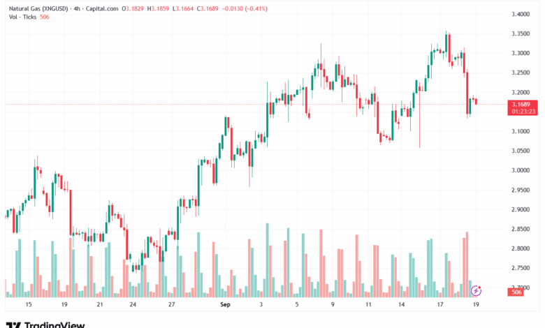 تحليل الغاز الطبيعي NATURAL GAS 19-9-2025