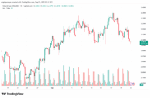 تحليل الغاز الطبيعي NATURAL GAS 23-9-2025