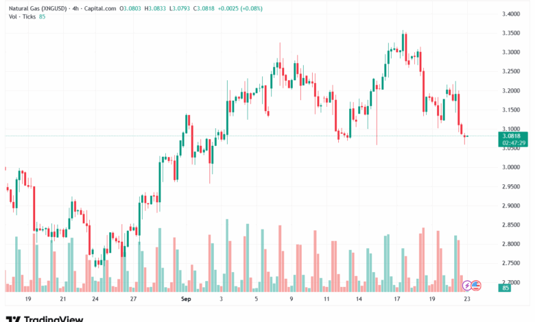 تحليل الغاز الطبيعي NATURAL GAS 23-9-2025