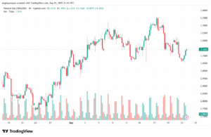 تحليل الغاز الطبيعي NATURAL GAS 24-9-2025