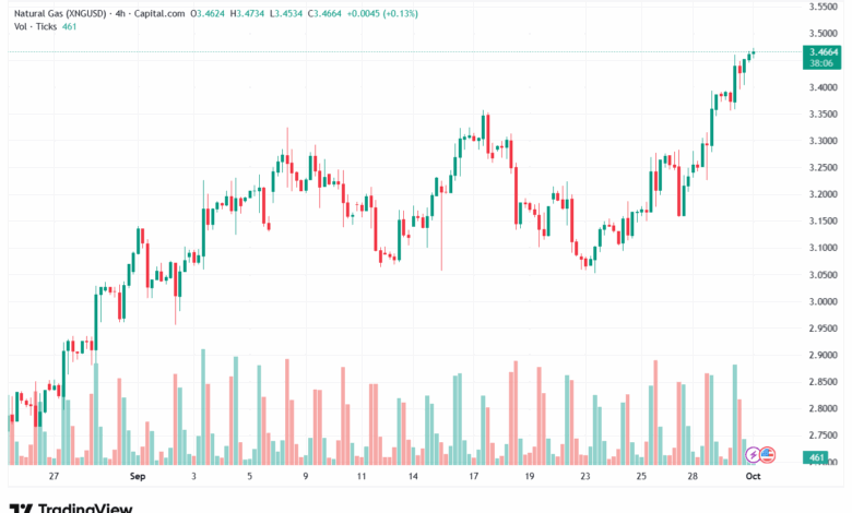 تحليل الغاز الطبيعي NATURAL GAS 1-10-2025