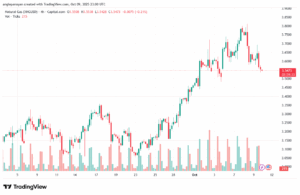 تحليل الغاز الطبيعي NATURAL GAS 10-10-2025