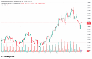تحليل الغاز الطبيعي NATURAL GAS 13-10-2025