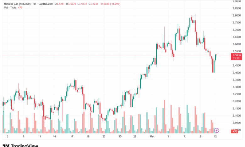 تحليل الغاز الطبيعي NATURAL GAS 13-10-2025