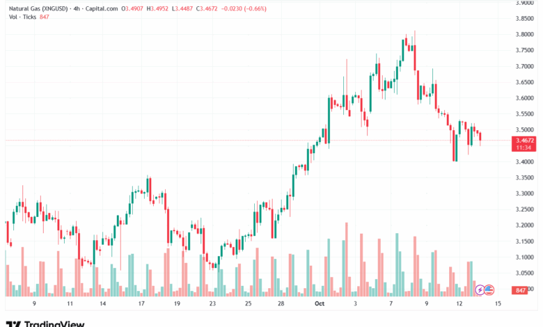تحليل الغاز الطبيعي NATURAL GAS 14-10-2025