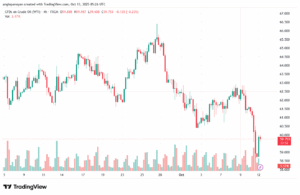 تحليل النفط CRUDE OIL -13-10-2025