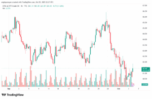 تحليل النفط CRUDE OIL -6-10-2025