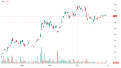 تحليل سهم نيو NIO-31-10-2025
