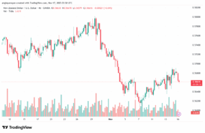 تحليل-NZDUSD-17-11-2025