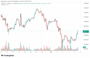 تحليل البتكوين دولار BTCUSD-10-11-2025