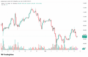 تحليل البتكوين دولار BTCUSD-12-11-2025