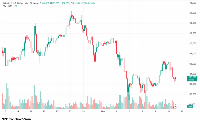 تحليل البتكوين دولار BTCUSD-12-11-2025
