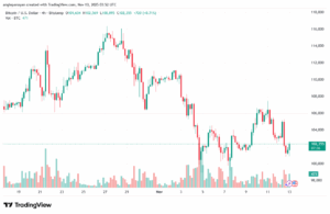 تحليل البتكوين دولار BTCUSD-13-11-2025