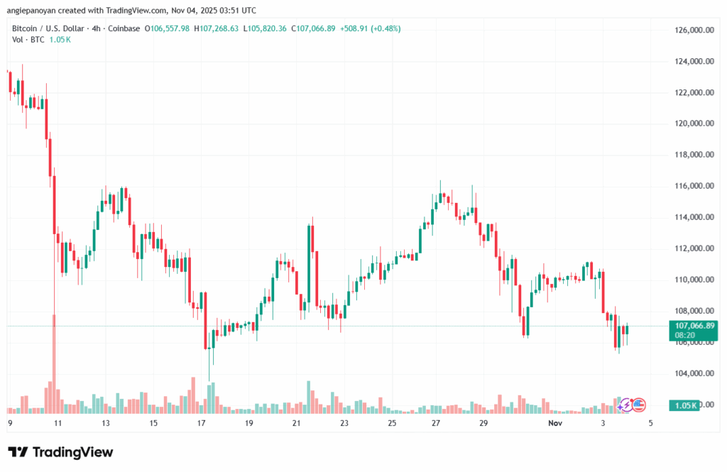 تحليل البتكوين دولار BTCUSD-4-11-2025