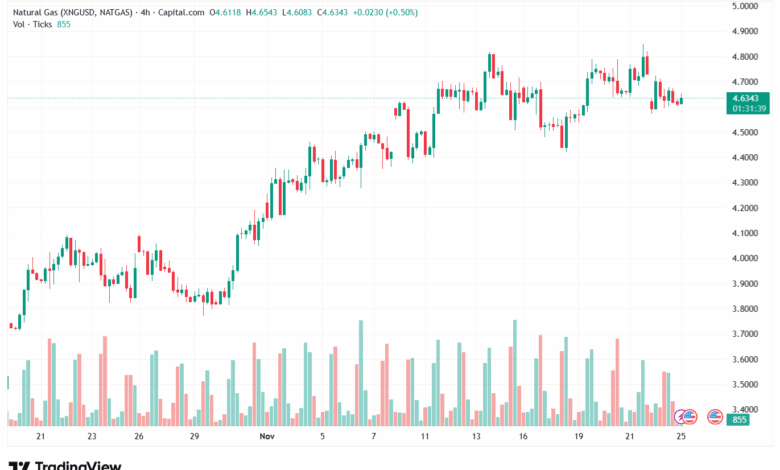 تحليل الغاز الطبيعي NATURAL GAS 25-11-2025
