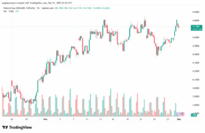 تحليل-NZDUSD-1-12-2025