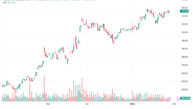 تحليل سهم جوجل الفني Google 29-1-2026