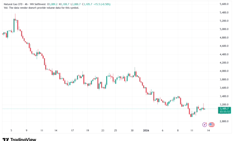 تحليل الغاز الطبيعي NATURAL GAS 13-1-2026